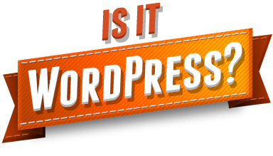 template site de rencontre wordpress