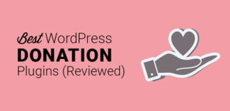 best wordpress donation plugins