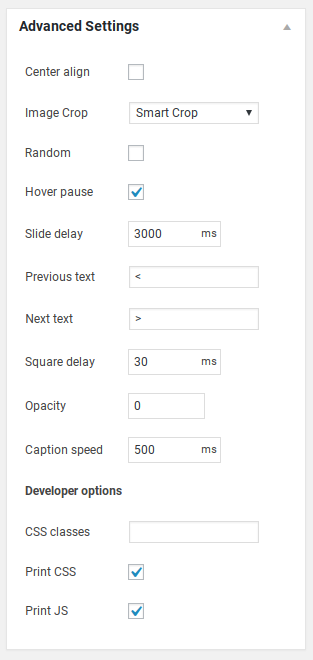 Meta Slider Review - advanced options