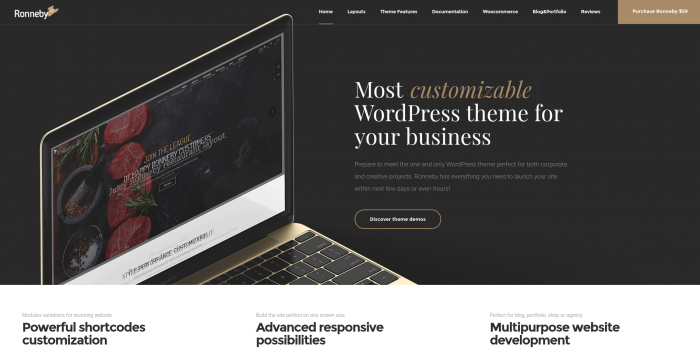 Ronneby WordPress Theme Review