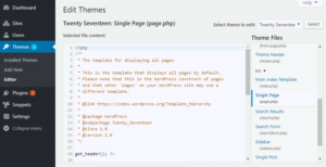 How To Properly Add Code Snippets To Your WordPress Site