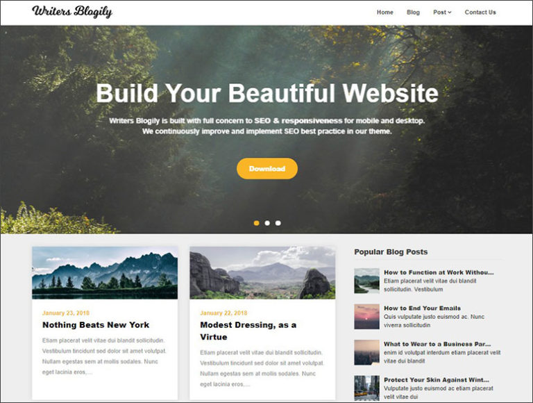 30 Best WordPress Themes for Writers and Book Authors (2024)