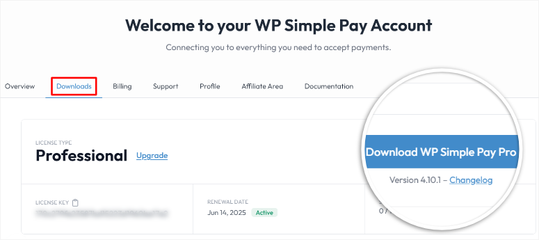 wp simple pay download zip
