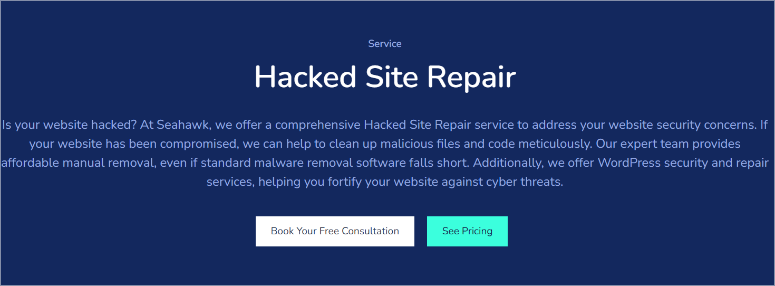 seahawk media hacked site repair