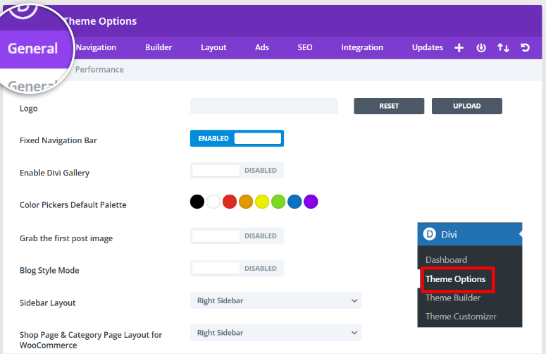 divi theme options general